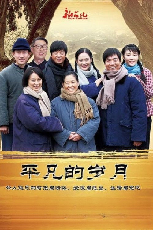 平凡的岁月 封面