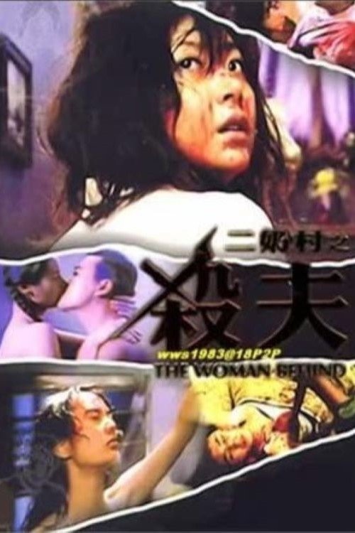 二奶村之杀夫 封面