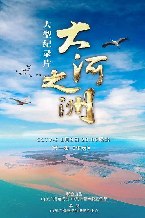 大河之洲 封面