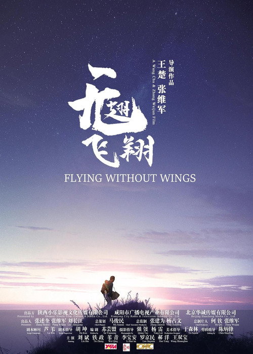 无翅飞翔 封面