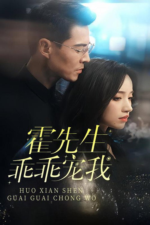 霍先生乖乖宠我 封面