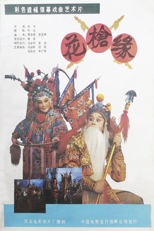 花枪缘 封面