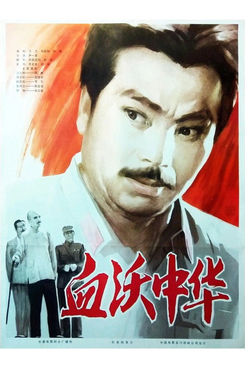 血沃中华 封面