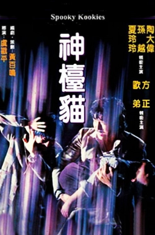 神檯貓 封面