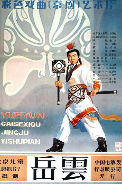 岳云 封面