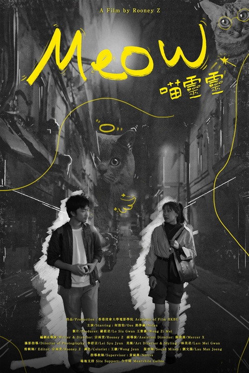 The Magic of Meow 封面