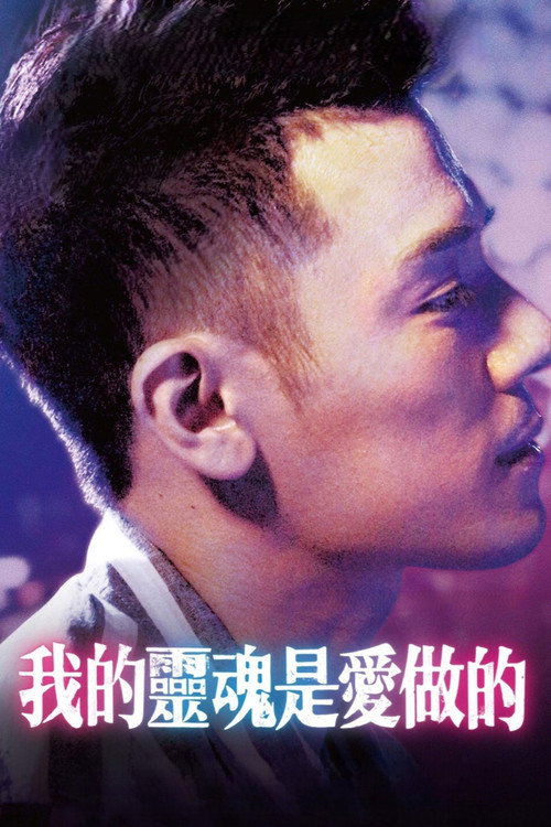 我的灵魂是爱做的 封面