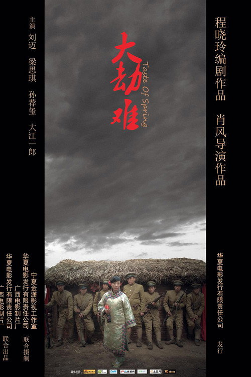 大劫难 封面