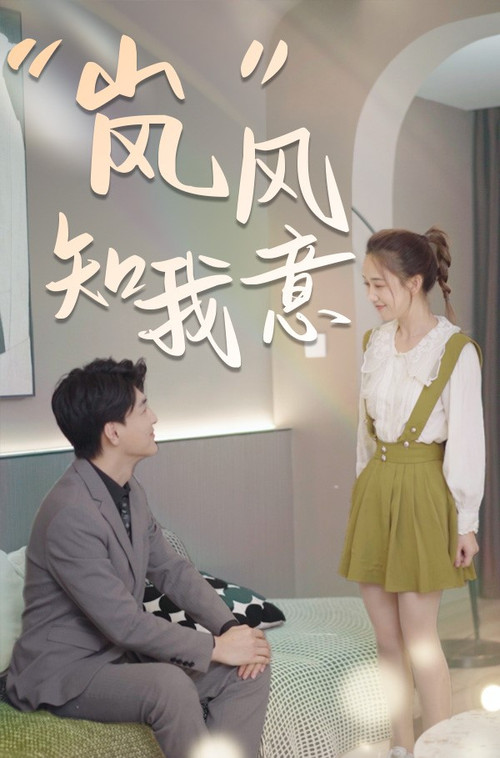 “岚”风知我意 封面