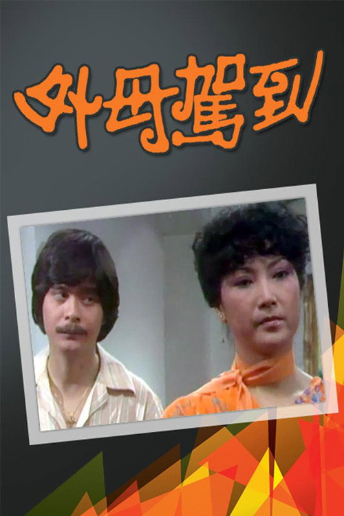外母驾到 封面