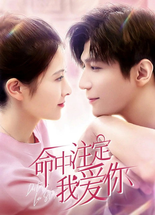 命中注定我爱你 封面