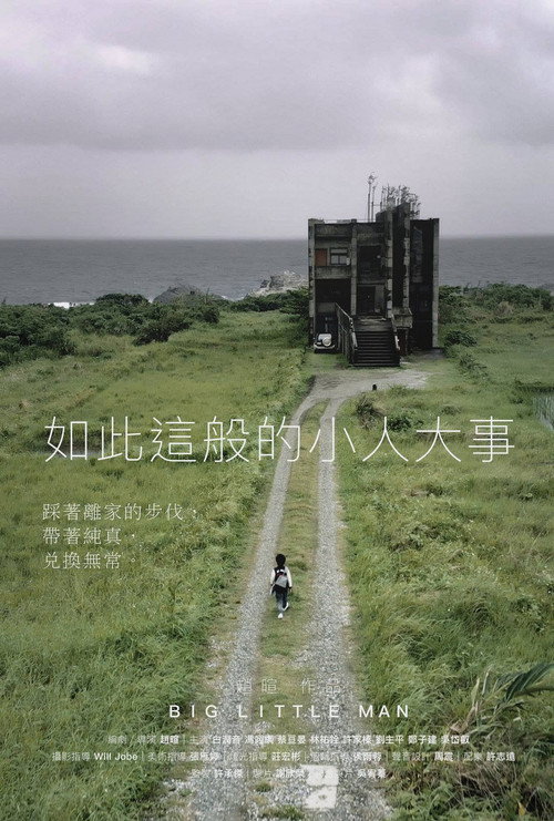 如此這般的小人大事 封面