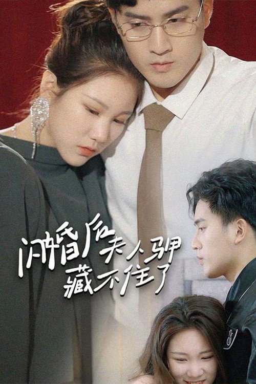 闪婚后夫人马甲藏不住了 封面