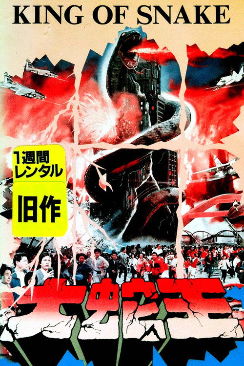 大蛇王 封面