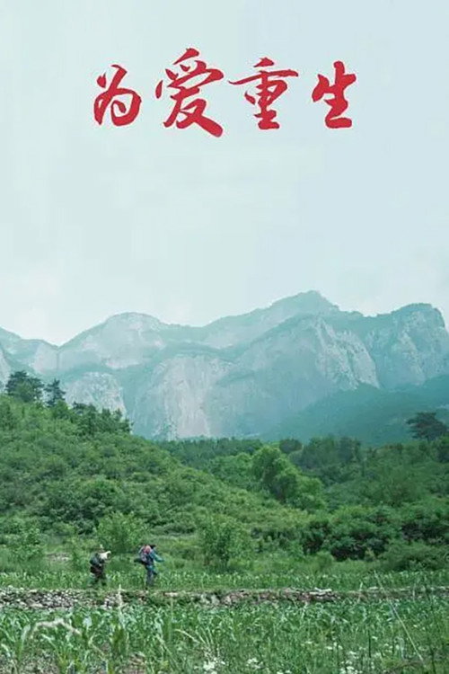 为爱重生 封面