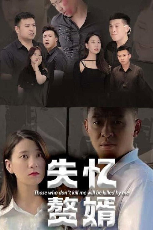 失忆赘婿 封面