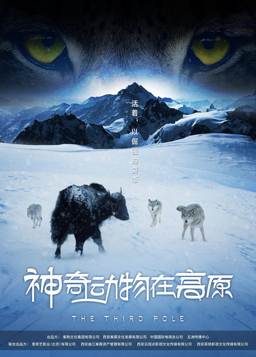 神奇动物在高原 封面
