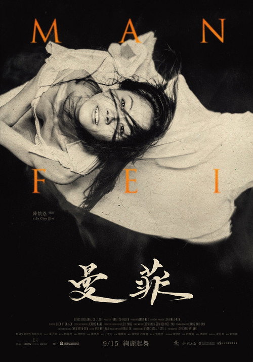 曼菲 封面
