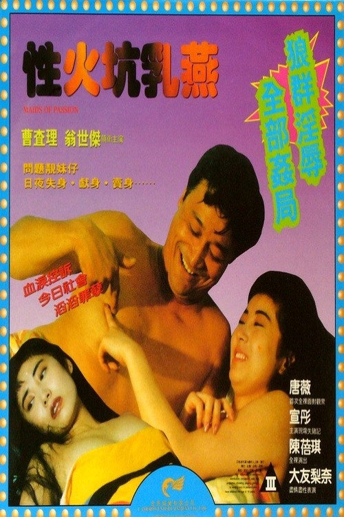 性火坑乳燕 封面