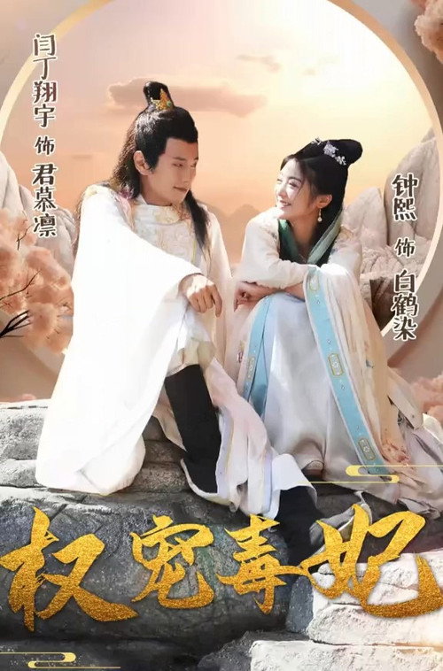 权宠毒妃 封面
