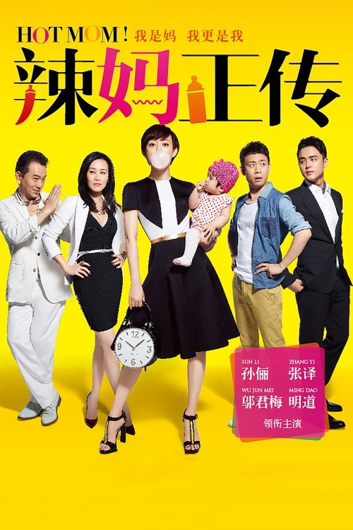 辣妈正传 封面