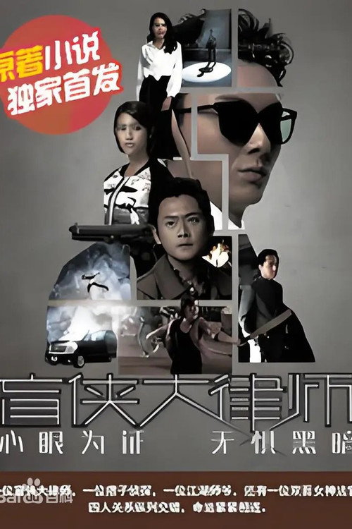 盲侠大律师第2季 封面