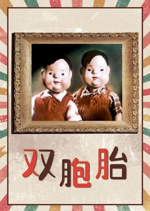双胞胎 封面