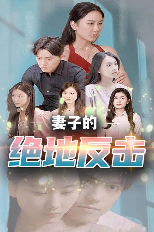 妻子的绝地反击 封面