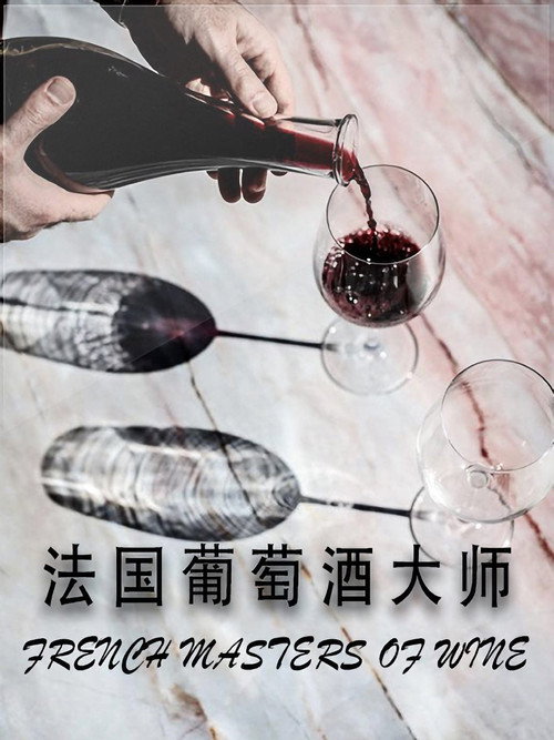 法国葡萄酒大师 封面