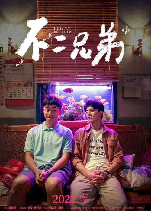 不二兄弟 封面