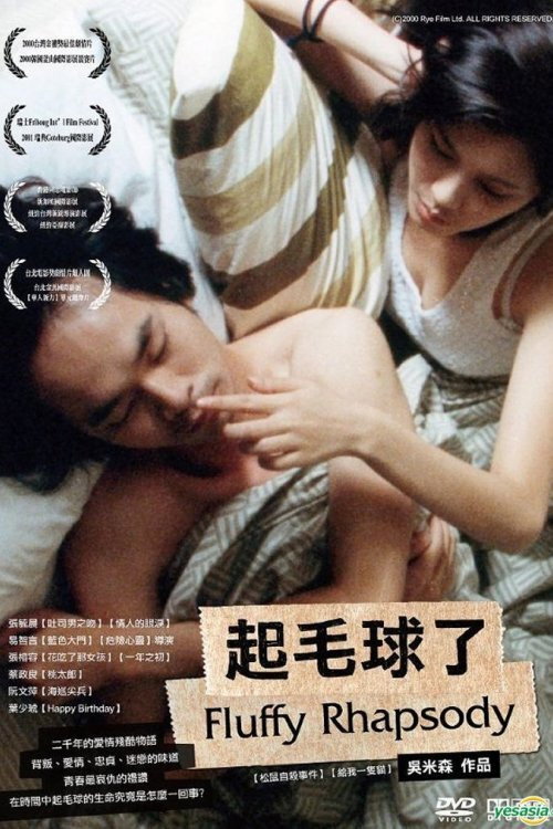 起毛球了 封面