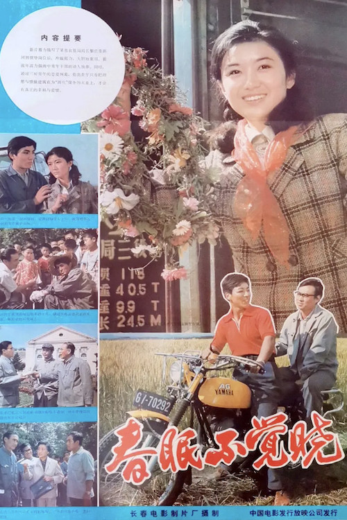 春眠不觉晓 封面