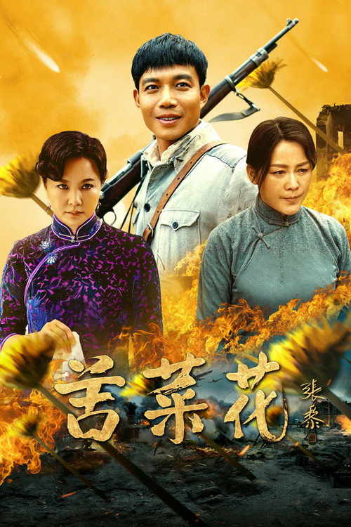 苦菜花 封面