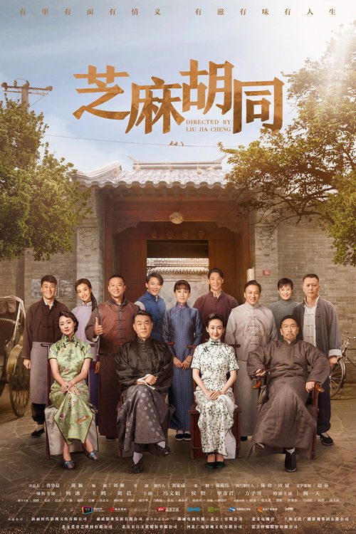 芝麻胡同 封面
