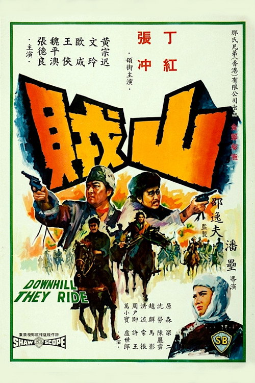山贼 封面