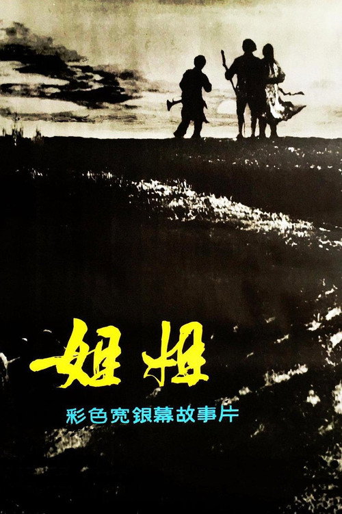 姐姐 封面
