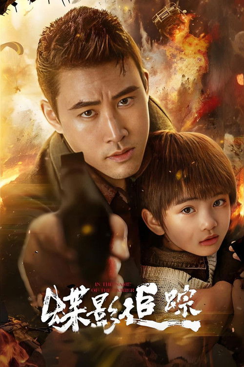 蝶影追踪 封面