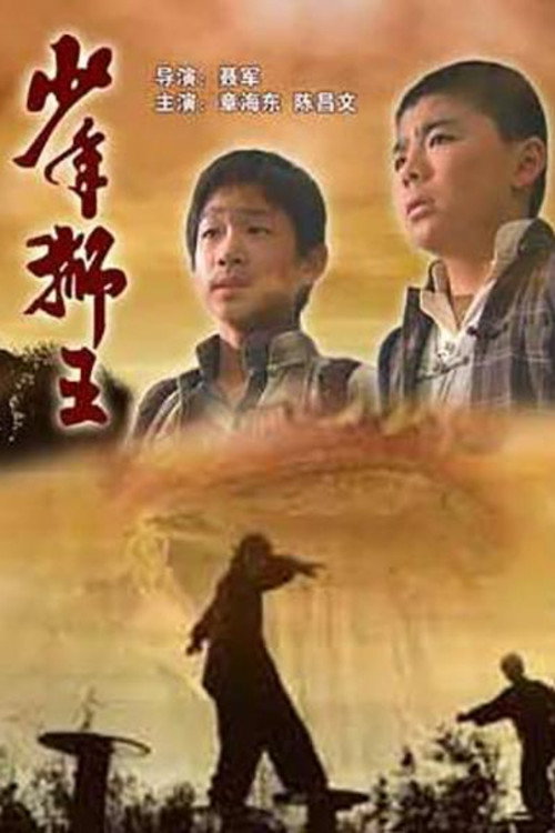 少年狮王 封面