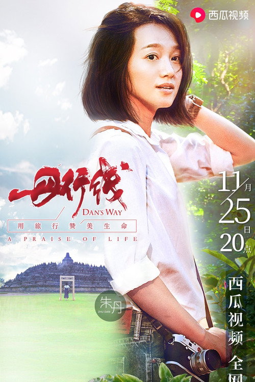 丹行线 封面