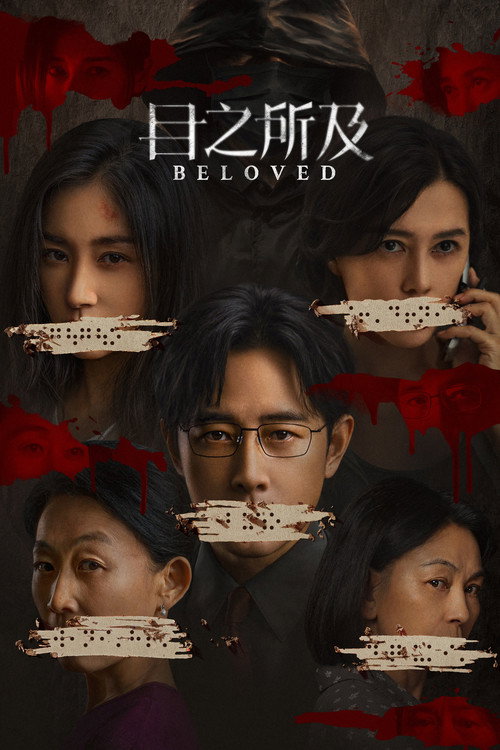 目之所及 封面