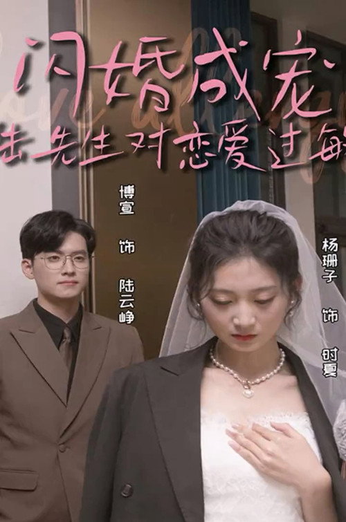 闪婚成宠，陆先生对恋爱过敏 封面