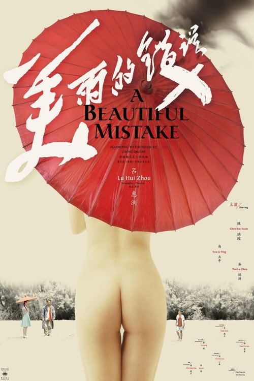 美丽的错误 封面