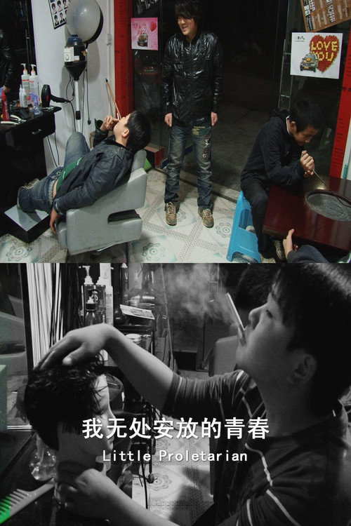 我无处安放的青春 封面