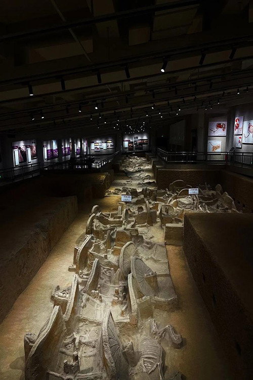 三门峡虢国墓地 封面