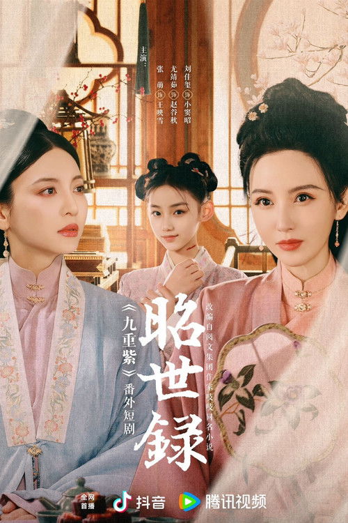 昭世录 封面