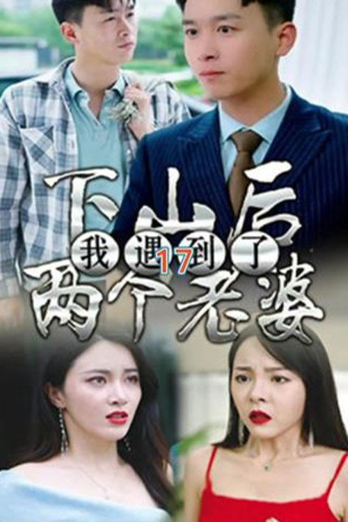下山后遇见了两个老婆 封面
