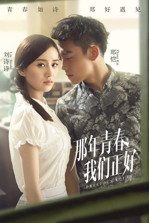 那年青春我们正好 封面