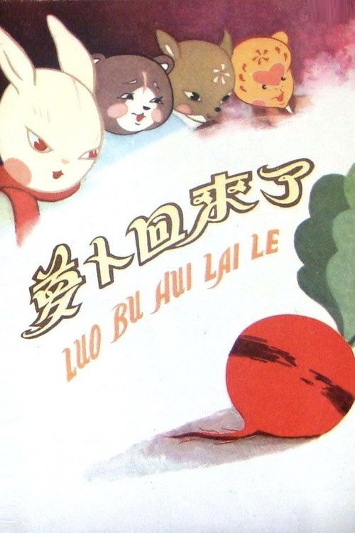 萝卜回来了 封面