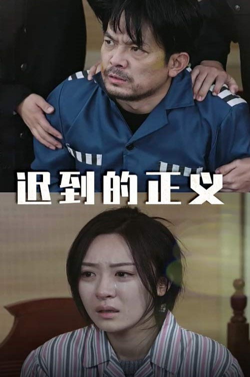 迟到的正义 封面