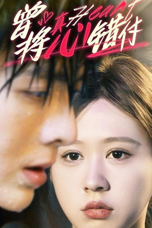 曾将真心错付 封面